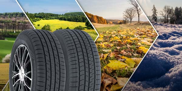 All-Weather vs All-Season Tires - Les Schwab