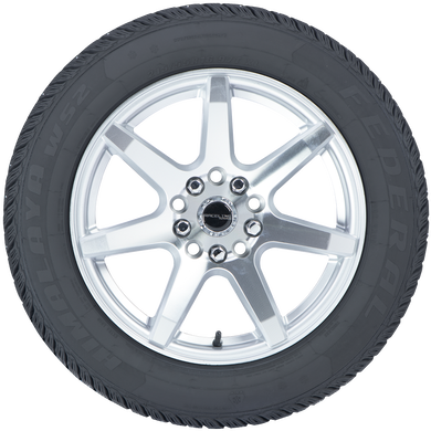 Himalaya WS2Himalaya WS2, , hi-res