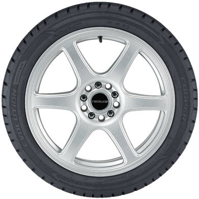 Evolution WinterEvolution Winter, , hi-res