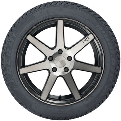 Himalaya WS2Himalaya WS2, , hi-res