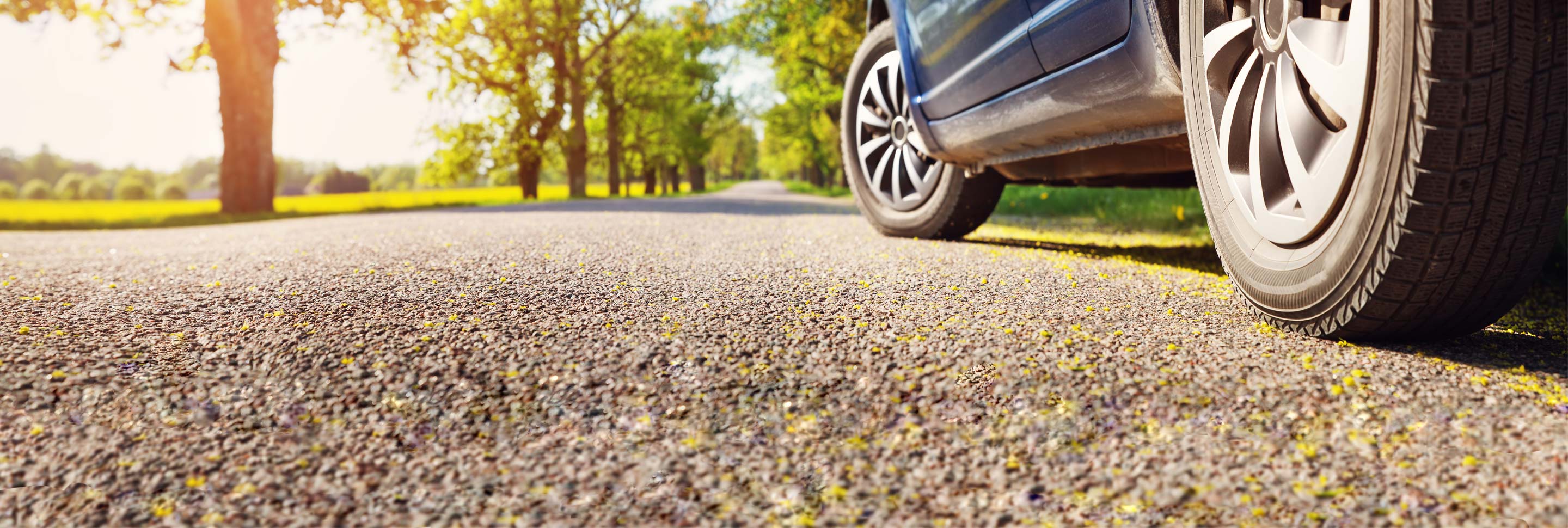 Why Your Brakes Squeak, Squeal and Grind Les Schwab