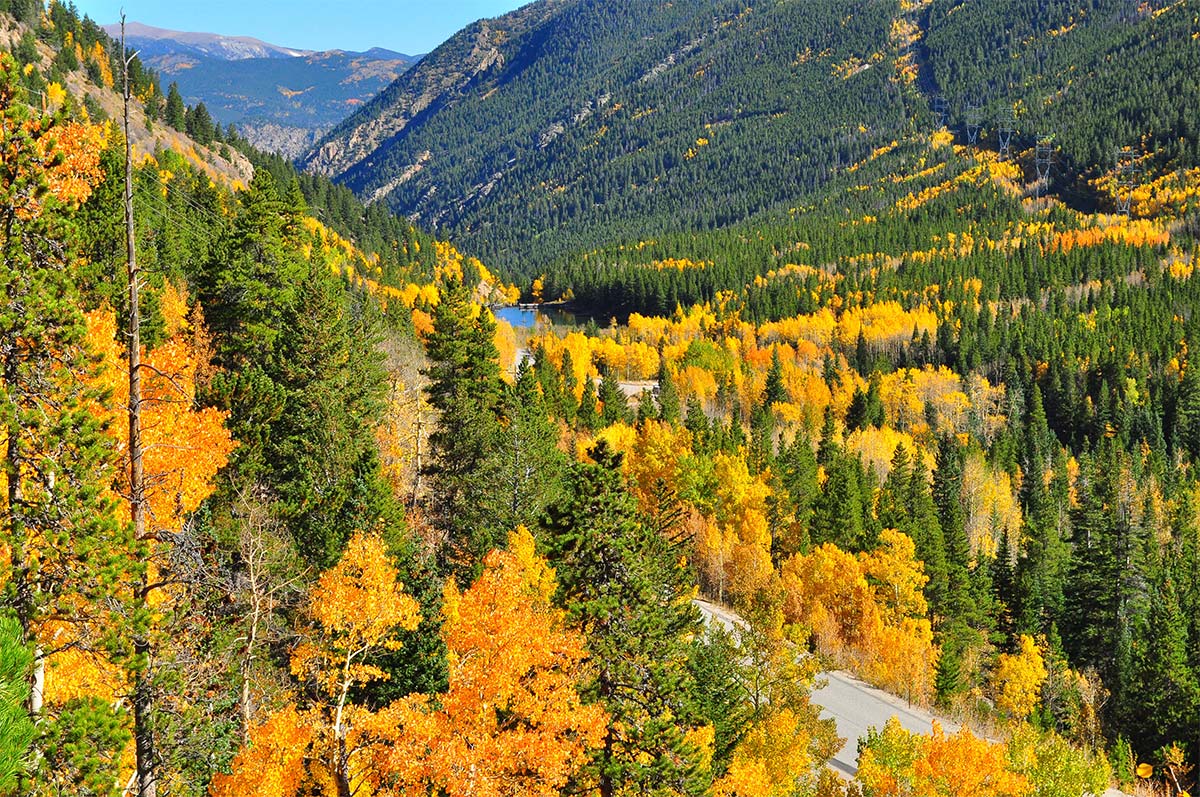 Photo: Guanella Pass by Paul Sattler