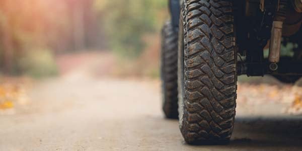 A vehicle drives down a leaf-covered road.