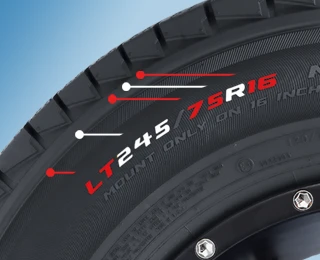 A tire sidewall with the parts of the size called out.