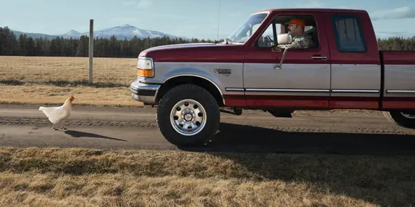 Truck stopped by a chicken crossing the road