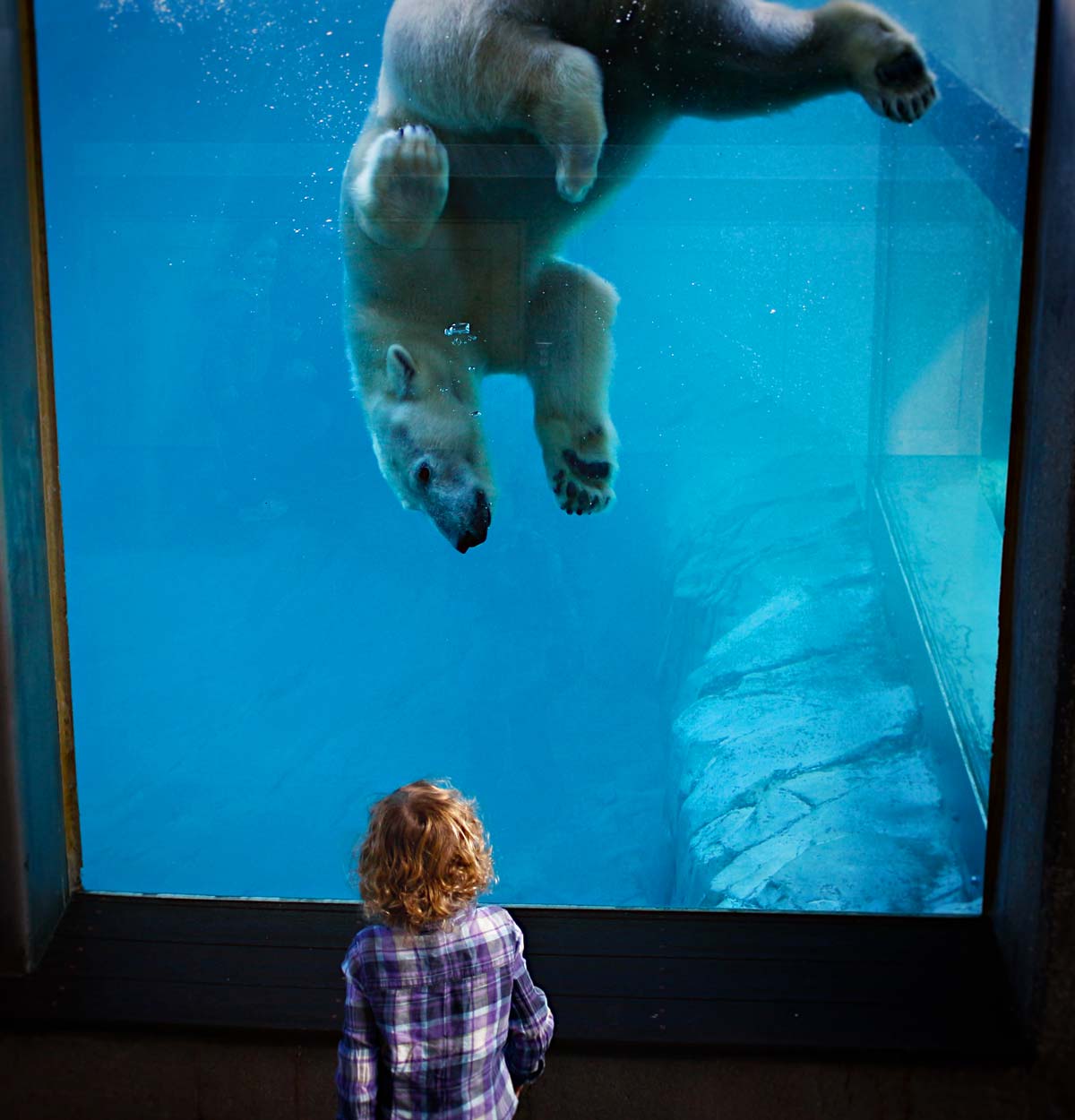 Utah Hogle Zoo Hours