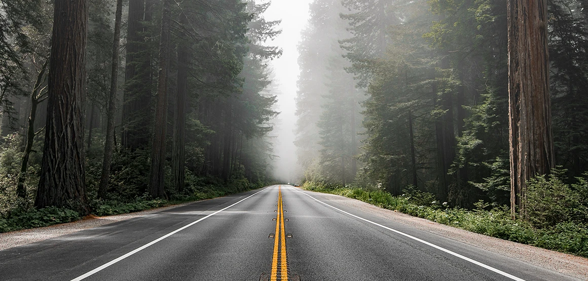 Step-by-Step Guide: How to Break In New Brakes