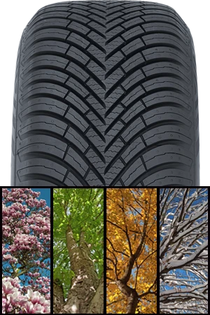 All-Weather Tire