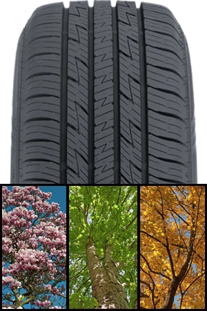 All-Season Tire