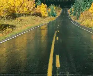 Wet road in fall.